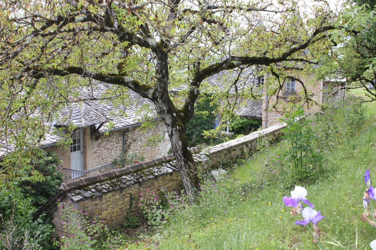 Les Terrasses De Labade Gite Et Chambres D'Hotes Coubisou Dış mekan fotoğraf